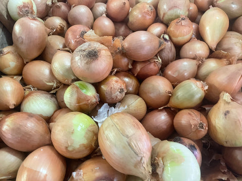 Onion